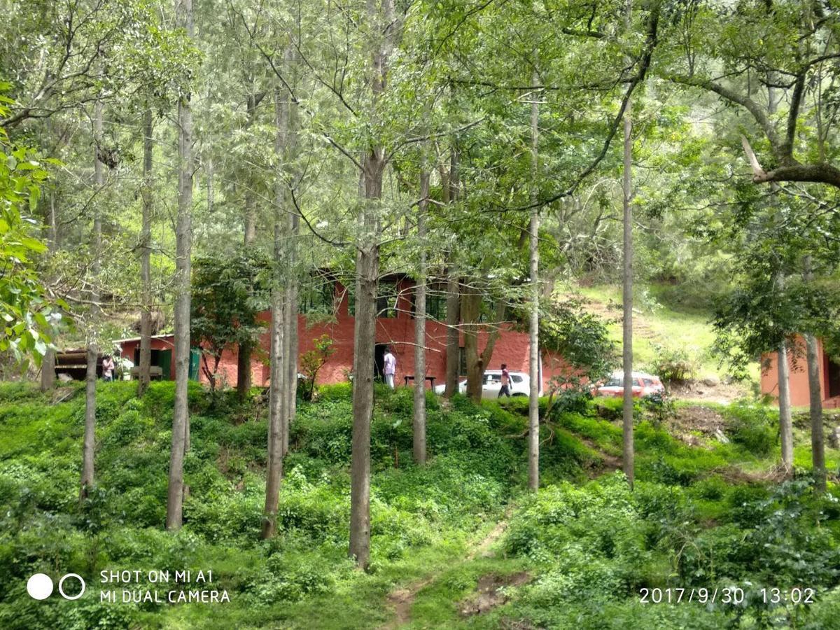 Secret Valley Jungle Resort Ooty Buitenkant foto