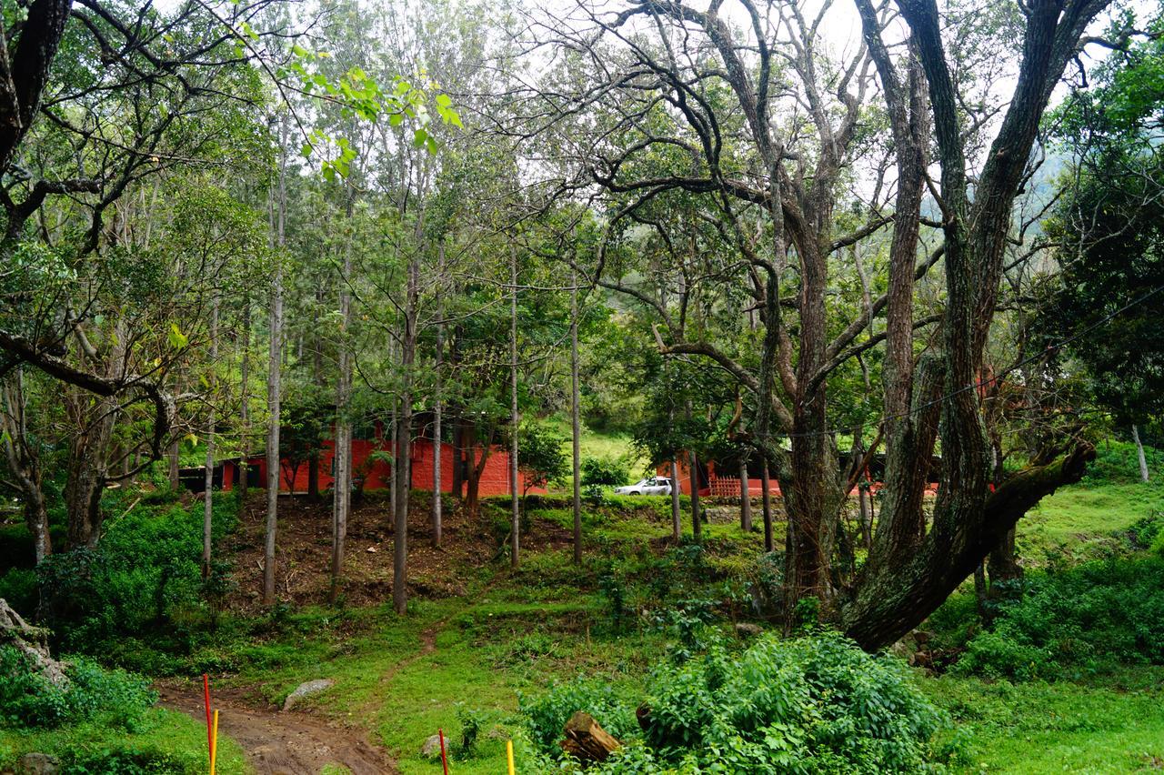 Secret Valley Jungle Resort Ooty Buitenkant foto