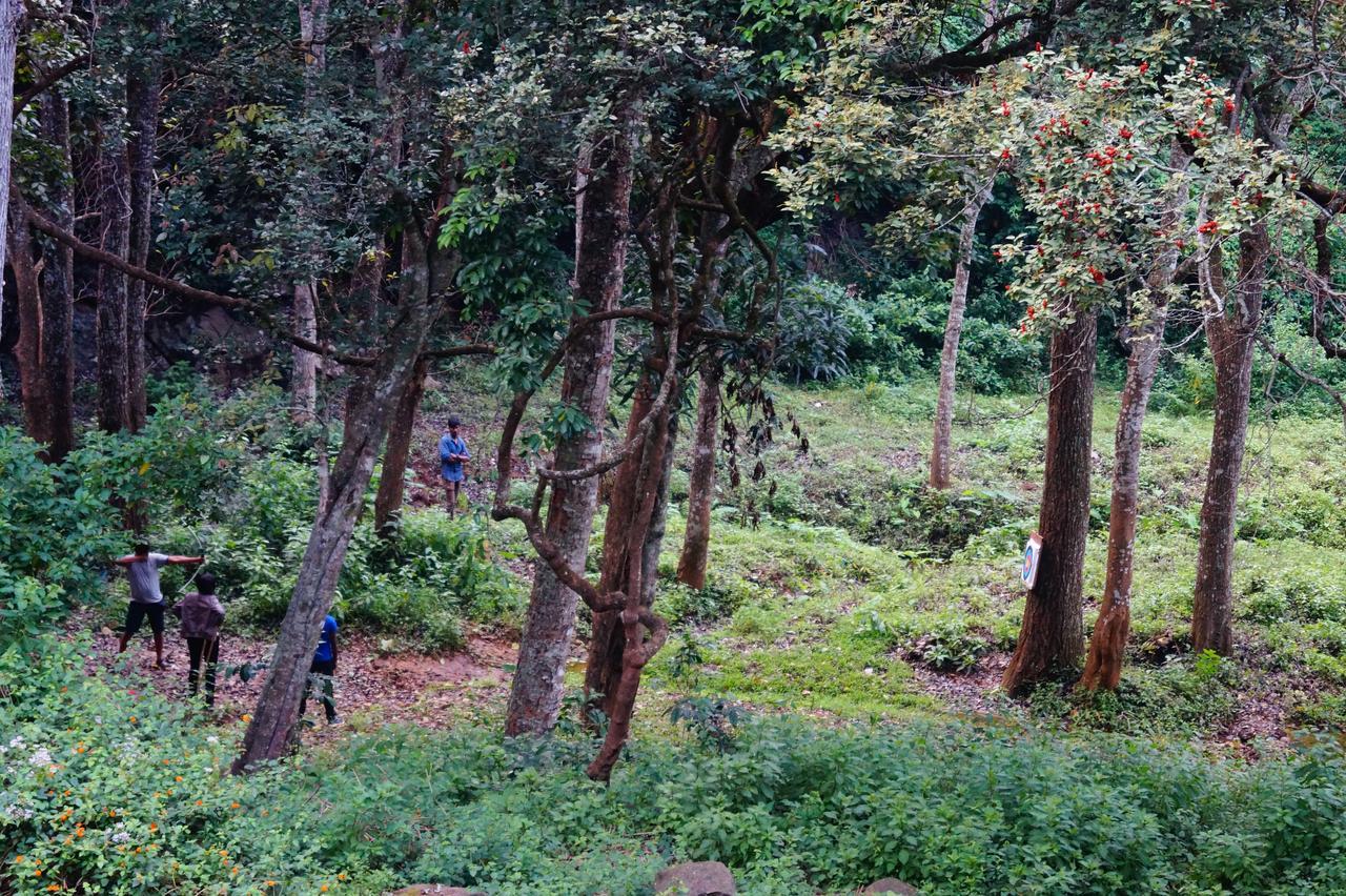 Secret Valley Jungle Resort Ooty Buitenkant foto