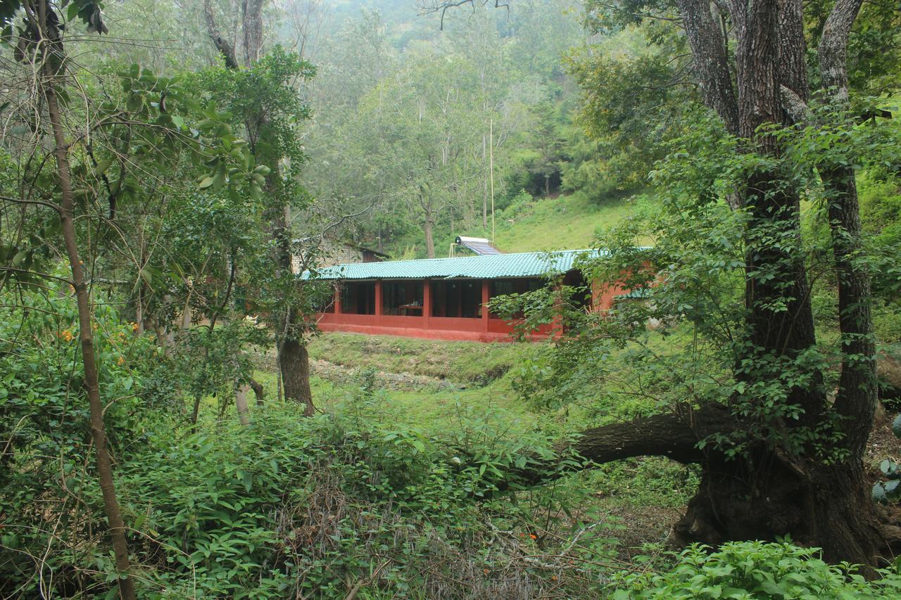 Secret Valley Jungle Resort Ooty Buitenkant foto