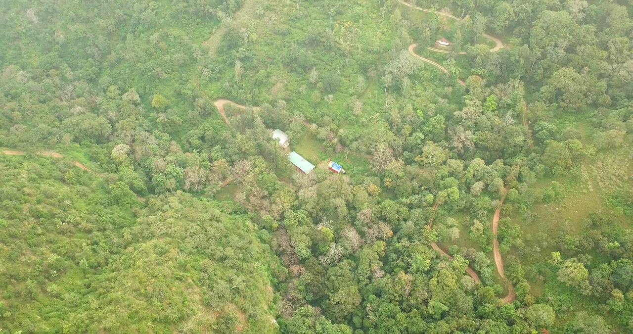 Secret Valley Jungle Resort Ooty Buitenkant foto