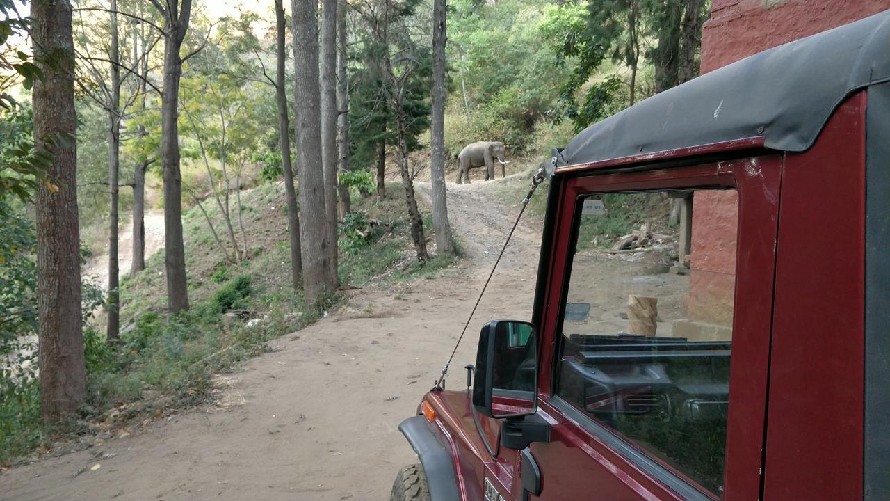 Secret Valley Jungle Resort Ooty Buitenkant foto